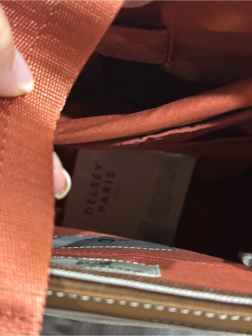 DELSEY Paris Men's Cream & Tan Travel Backpack